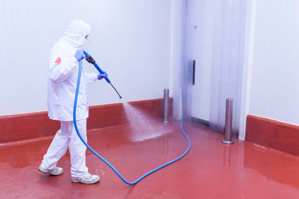 Best Graffiti Removal  in Lake Shore, MN